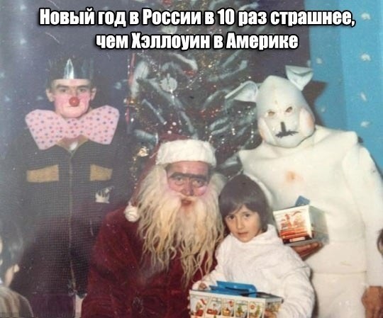 dgHr1.jpg