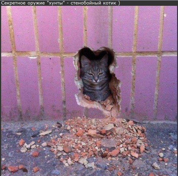 Снимок.JPG