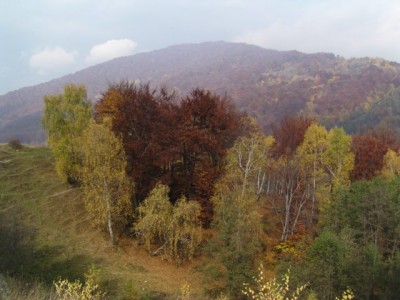 p1010003.jpg (64.65 KiB) Просмотров: 651 p1010003.jpg