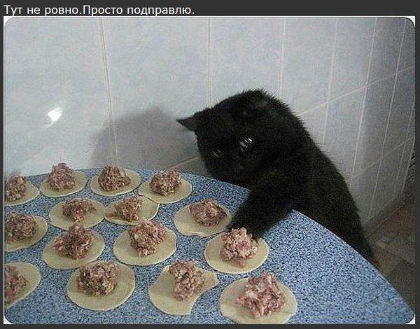 Снимок.JPG
