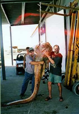 som=140+.jpg (37.19 KiB) Просмотров: 2204 som=140+.jpg