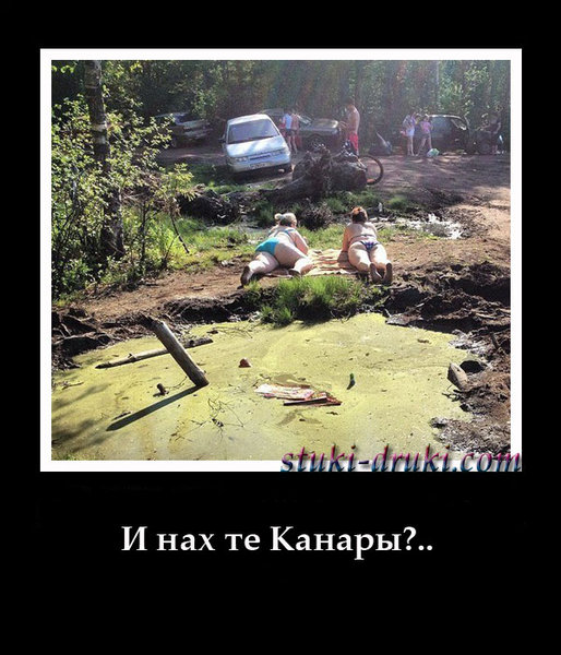 Kanari-boloto.jpg