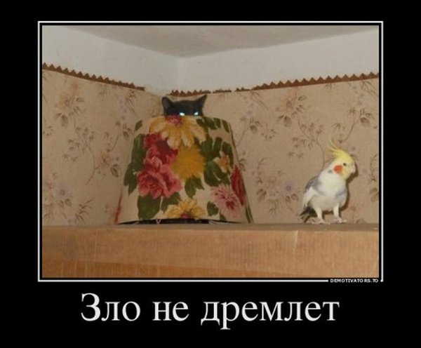 1419579024_demotivatory-3.jpg (240.16 KiB) Просмотров: 3907 1419579024_demotivatory-3.jpg