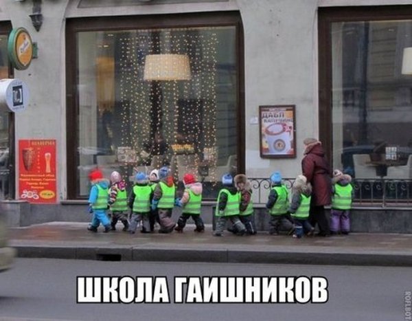 1419508357_avtoprikoly-15.jpg