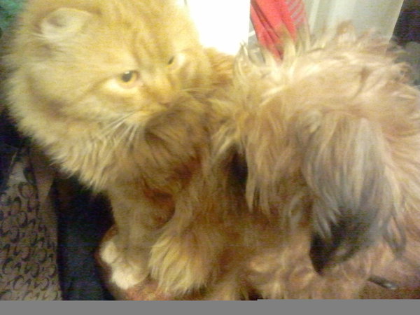 2015-01-01 17.17.45.jpg (1.49 MiB) Просмотров: 3566 2015-01-01 17.17.45.jpg