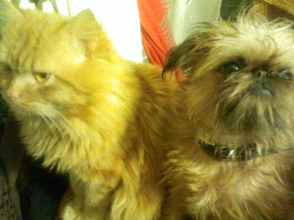 2015-01-01 17.17.32.jpg (1.45 MiB) Просмотров: 3566 2015-01-01 17.17.32.jpg