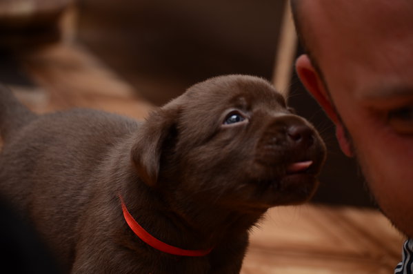 DSC_3121.JPG (4.33 MiB) Просмотров: 3520 DSC_3121.JPG