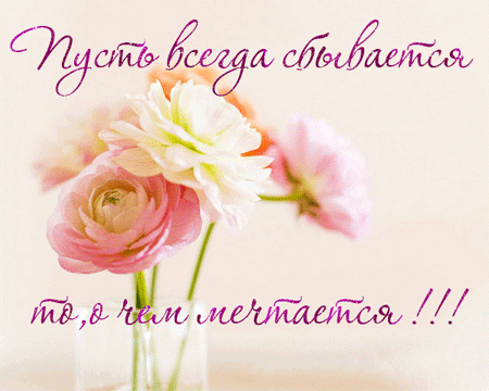 flower.gif