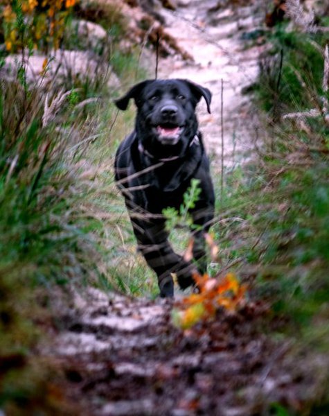 f71vPqb4Azg.jpg (69.1 KiB) Просмотров: 3477 f71vPqb4Azg.jpg