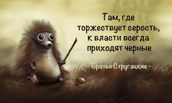 preview-650x390-650-1421924855.jpg