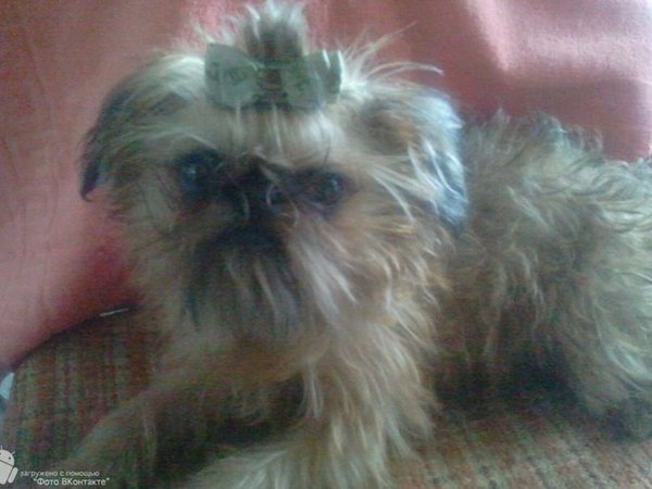 kuJw3KLVsJo.jpg (48.5 KiB) Просмотров: 3437 kuJw3KLVsJo.jpg