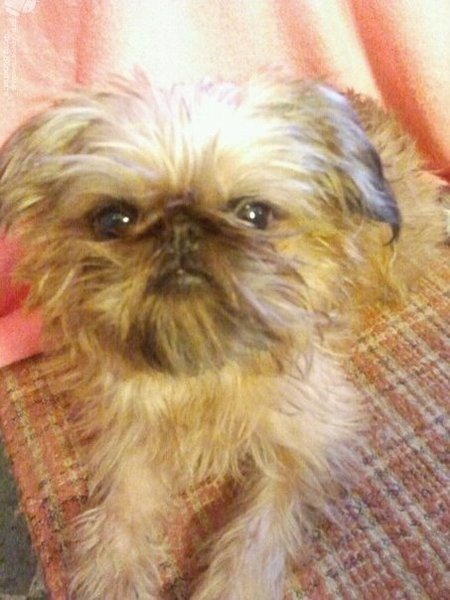 nO1w3obhFOE.jpg (55.05 KiB) Просмотров: 3420 nO1w3obhFOE.jpg