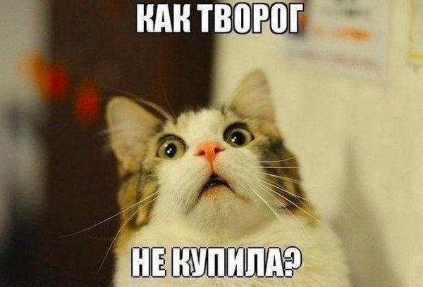 1422735026_fyv-0-026.jpg