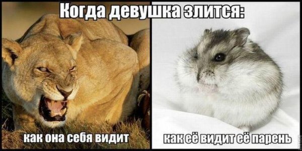 1422735003_fyv-0-029.jpg