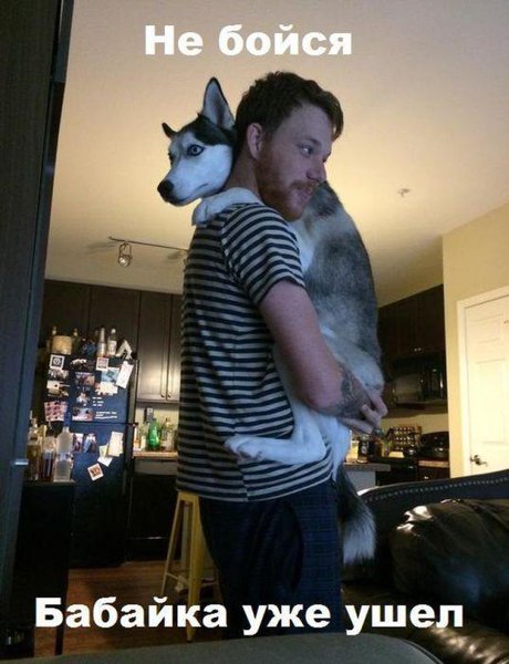 1422734968_fyv-0-013.jpg (52.9 KiB) Просмотров: 3328 1422734968_fyv-0-013.jpg