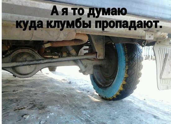 smeshnie_kartinki_142191761220.jpg