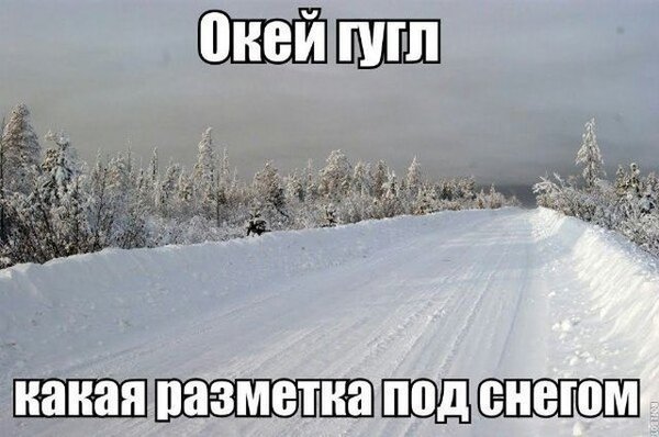 1369_54b7b8a28785b.jpg