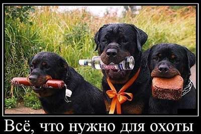 vse-dlya-ohoti.jpg