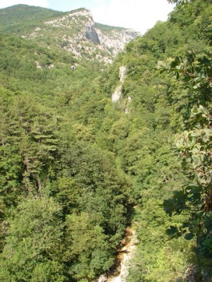 DSC00944.JPG