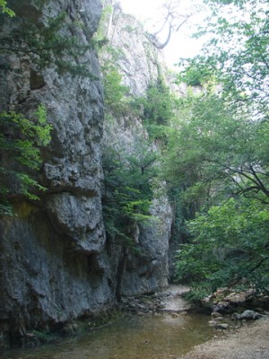 DSC00971.JPG