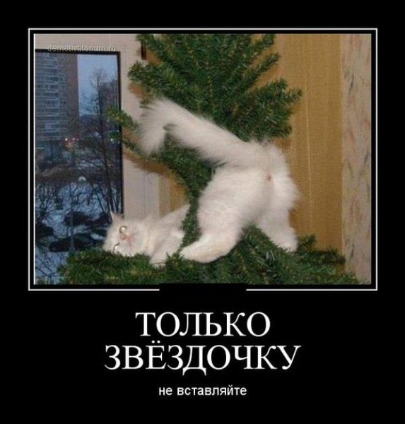 post_106078.jpg (46.94 KiB) Просмотров: 4364 post_106078.jpg