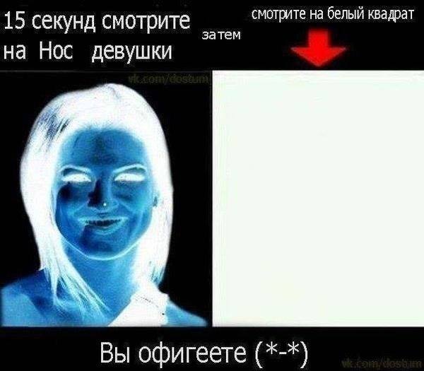 11019585_1568207890113731_7305558070426934984_n.jpg