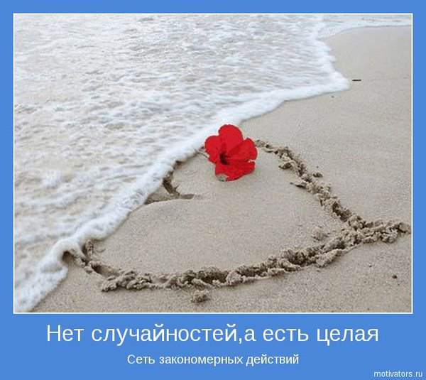 5257f9cd1a97647015.jpg
