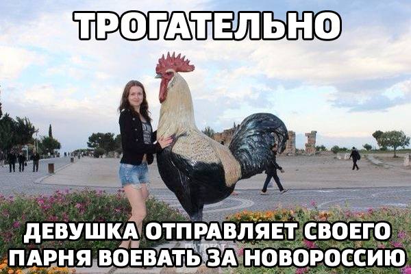 11083942_1584042221838919_6238989971457771937_n.jpg