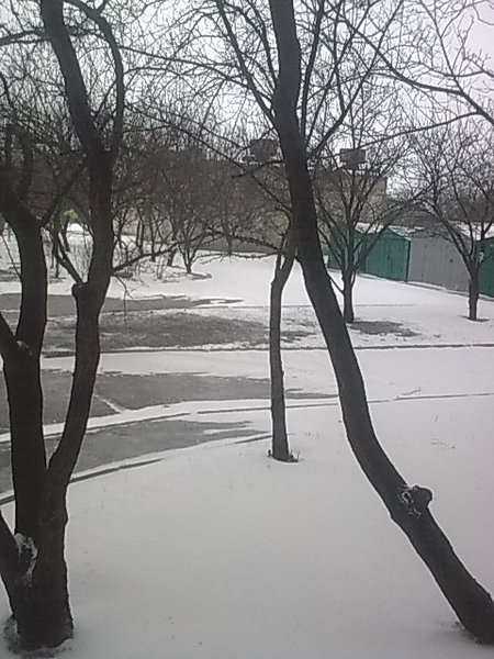 переобулся.jpg