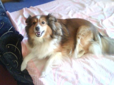 DSC00048.JPG (42.19 KiB) Просмотров: 1374 DSC00048.JPG