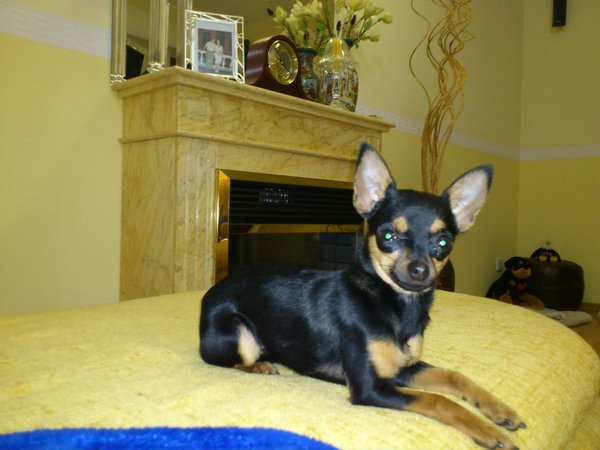 DSC_0403.jpg (242.7 KiB) Просмотров: 2829 DSC_0403.jpg