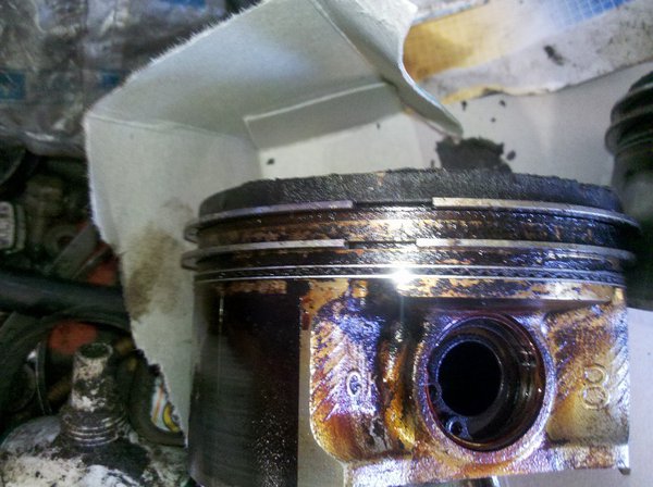 IMG_20150602_102313c.jpg (198.8 KiB) Просмотров: 3810 IMG_20150602_102313c.jpg