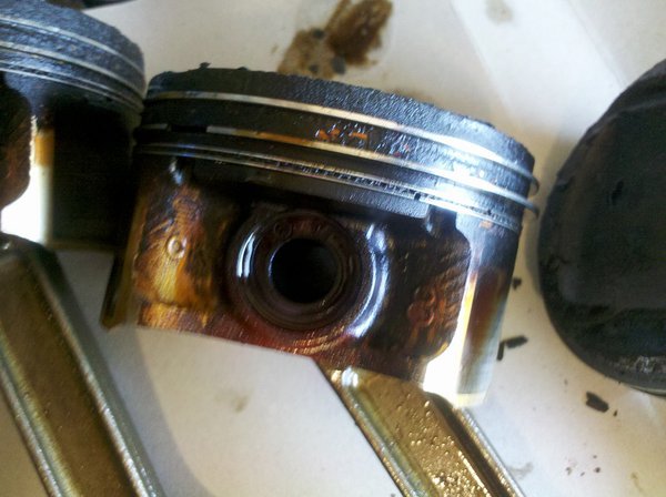 IMG_20150602_102515c.jpg (154.35 KiB) Просмотров: 3678 IMG_20150602_102515c.jpg