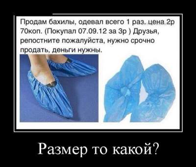 1436567760_demo3.jpg