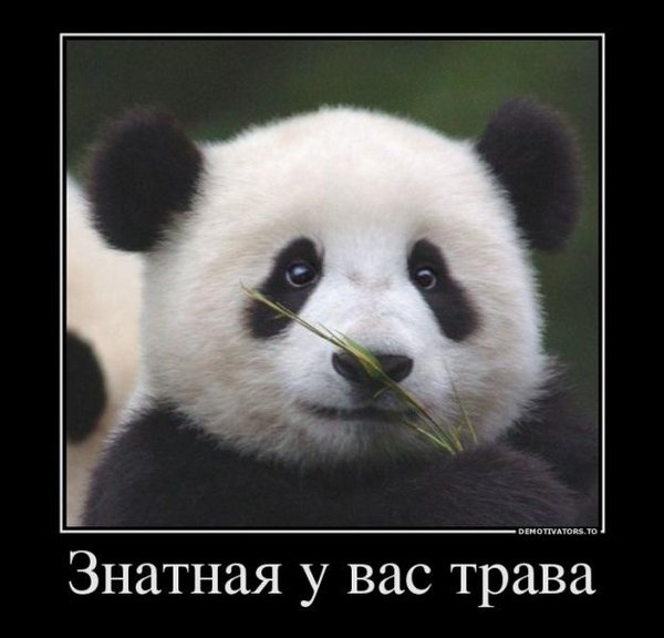 post_94344.jpg