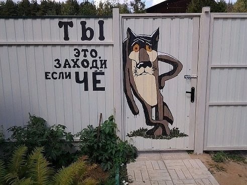 imageXRMPGY52.jpg