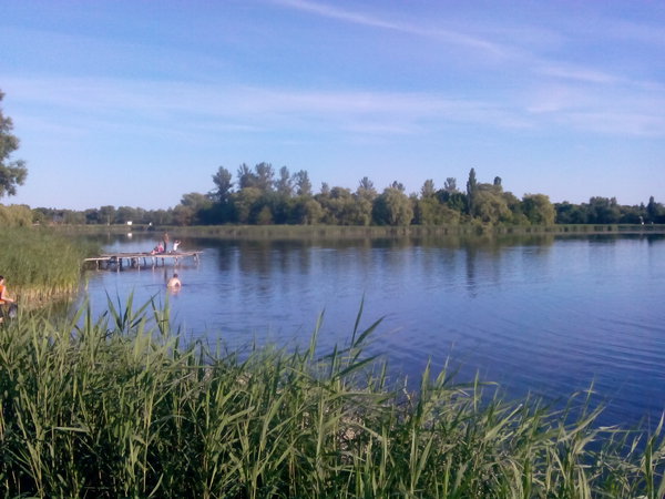 IMG_20150606_184931.jpg (627.52 KiB) Просмотров: 1363 IMG_20150606_184931.jpg