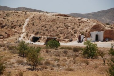 берберские норки.JPG (66.25 KiB) Просмотров: 2718 берберские норки.JPG