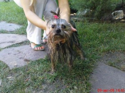 Варька не заметила фонтан.JPG (34.52 KiB) Просмотров: 2962 Варька не заметила фонтан.JPG