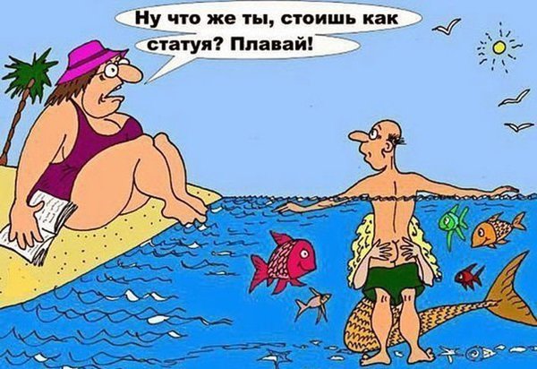 85.jpg