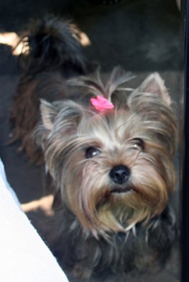 IMG_2209.jpg (55.64 KiB) Просмотров: 2963 IMG_2209.jpg