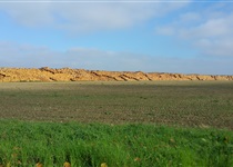 u0-neu-d1-24d3bd28ca97b8195bb3836b2dfba246^pimgt2_distr.jpg