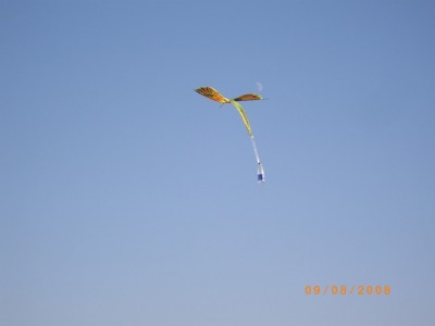IMGP1289.JPG