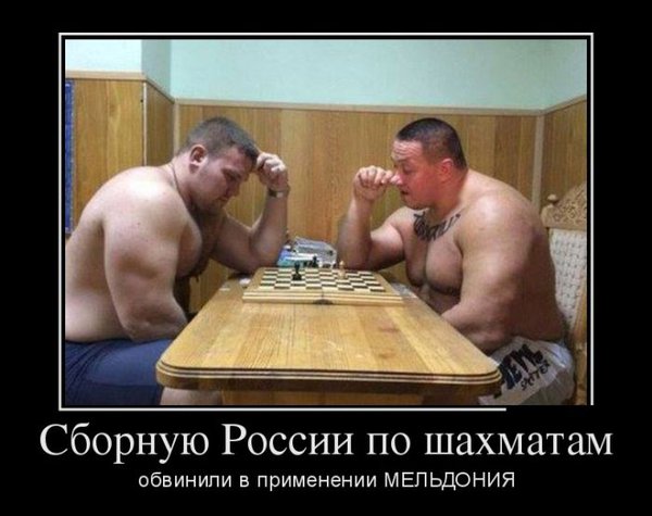 СБРШМ.jpg