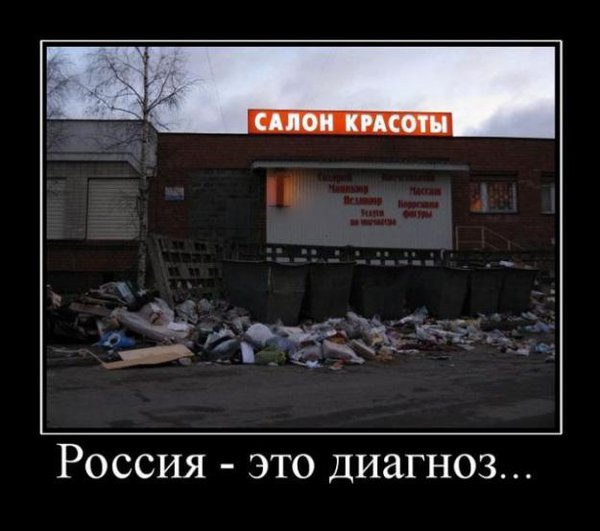 post_102271.jpg