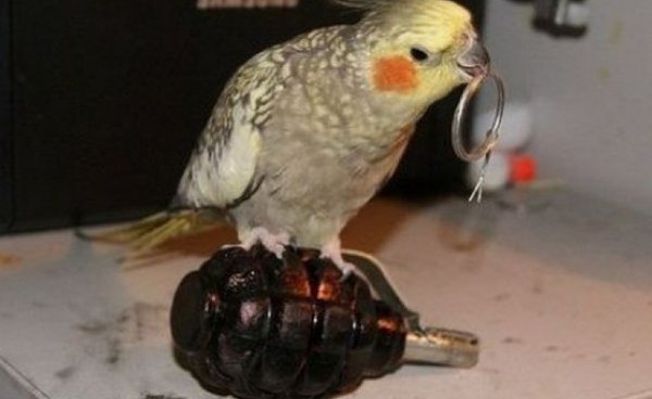 8f85ec686ebc3a5ddb85b07ccaa030f5_w750_h460_cp.jpg (74.08 KiB) Просмотров: 1412 8f85ec686ebc3a5ddb85b07ccaa030f5_w750_h460_cp.jpg