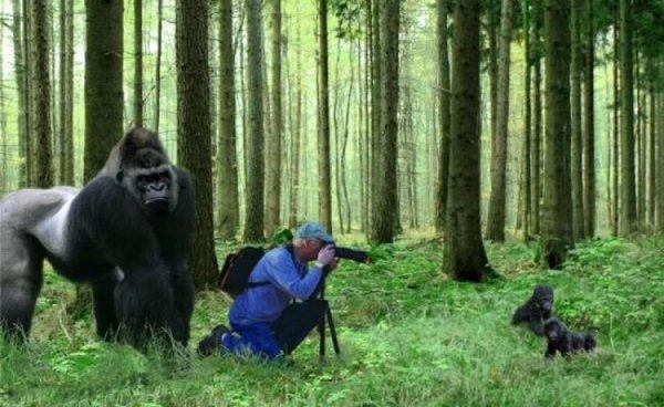 36a9b2d8db366a441207cdc31ed1fbfc_w750_h460_cp.jpg (149.7 KiB) Просмотров: 1412 36a9b2d8db366a441207cdc31ed1fbfc_w750_h460_cp.jpg