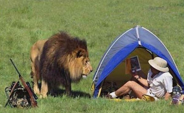 00270e0eaaf273905f8f721f05065054_w750_h460_cp.jpg (109.81 KiB) Просмотров: 1412 00270e0eaaf273905f8f721f05065054_w750_h460_cp.jpg