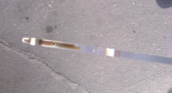 IMAG1498.jpg (628.02 KiB) Просмотров: 2272 IMAG1498.jpg