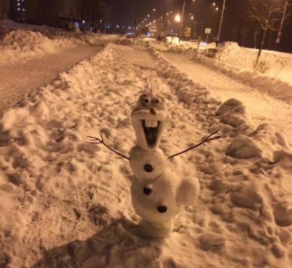 Снегом.jpg